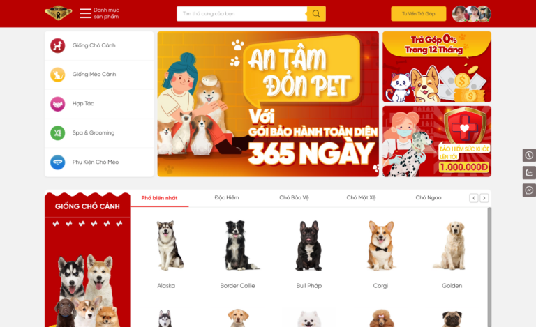 Website AZPET